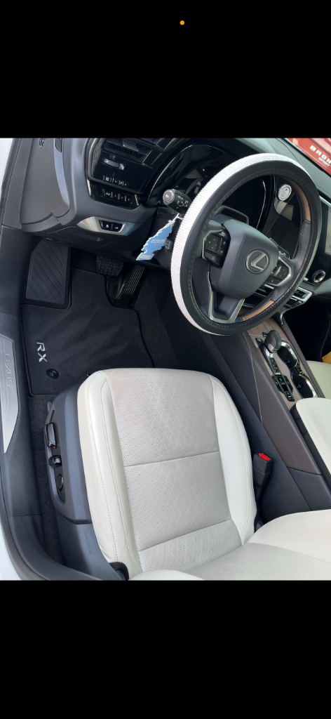 Lexus Interior Detail