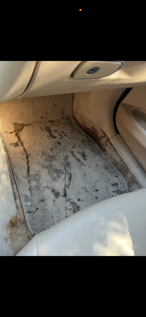 Interior Before Cleaning